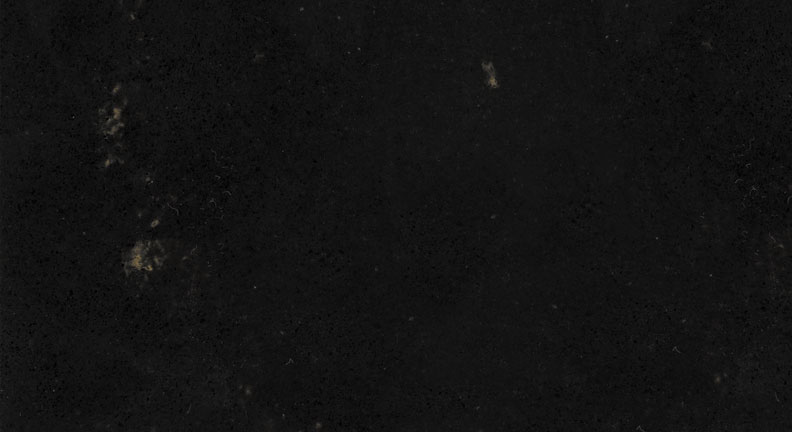 Carrara Golden Black